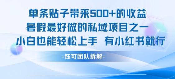 单条贴子带来5张的收益，暑假最好做的私域项目之一，小白也能轻松上手，有小红书就行-副业网