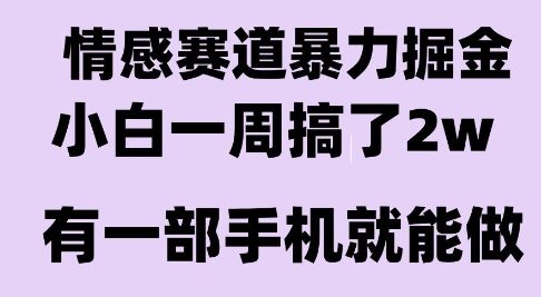情感暴力掘金项目，新人操作一周挣了2W，长期稳定小白可做【揭秘】-副业网