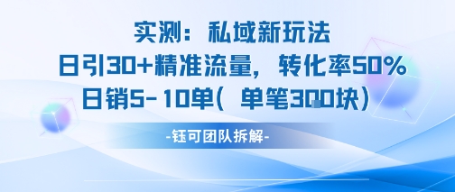 实测私域新玩法日引30加精准流量转化率50%日销5-10单每笔3张-副业网