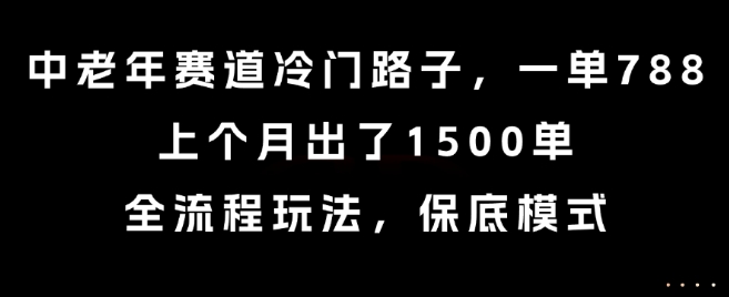 中老年赛道冷门路子，一单788，上个月出了1500单，全流程玩法，保底模式【揭秘】-副业网