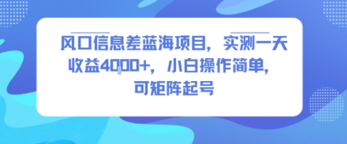 风口信息差蓝海项目，实测一天收益4k+，小白操作简单，可矩阵起号-副业库