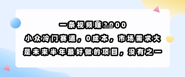 一条视频挣1k，小众冷门赛道，0成本，市场需求大，是未来半年最好做的项目，没有之一-副业网