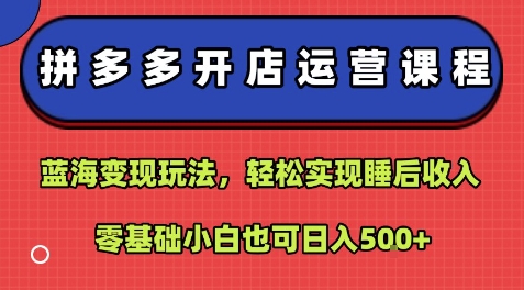 拼多多开店运营课程：蓝海变现玩法，轻松实现睡后收入，零基础小白也可日入5张-副业网