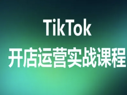 TikTok开店运营实战课程，TK跨境电商实操全流程-副业网