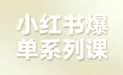 小红书爆单系列课，聚焦小红书电商全链路增长-副业网