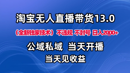 淘宝无人直播13.0，公域私域技术，不封号，不违规布局下半年旺季赛道，日入1K+(独家技术)【揭秘】-副业网