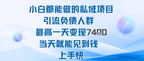 2025年小白都能做的私域项目引流负债人群最高一天变现1k+高变现难度低当天就能见到钱上手快-副业网