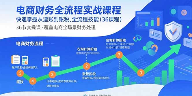 电商财务全流程实战课程：快速掌握从建账到报税的全流程技能(36节课-副业网