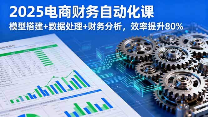 2025电商财务自动化课，模型搭建+数据处理+财务分析，效率提升80%-副业网