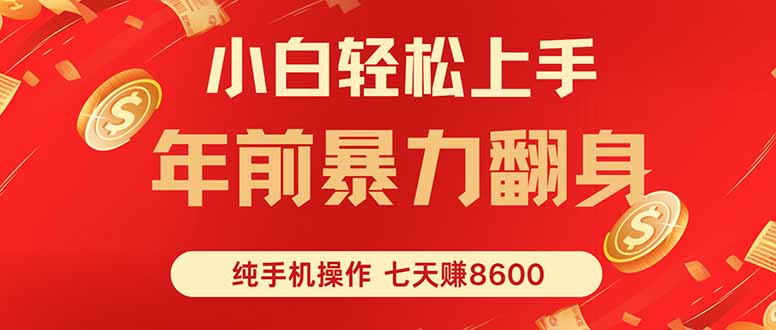 七天狂赚8600，小白纯手机操作，日入1000+-副业网