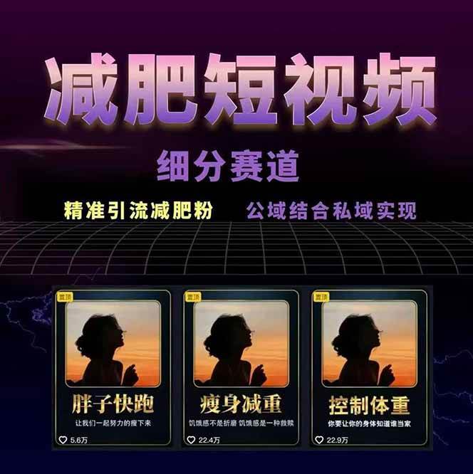 图片[2]-减肥短视频运营实战课：含素材制作、剪映教学，讲精准引流、变现设计与内容模板技巧-副业网