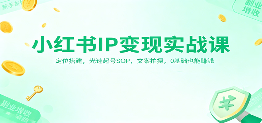 小红书IP变现实战课：定位搭建，光速起号SOP，文案拍摄，0基础也能赚钱-副业网