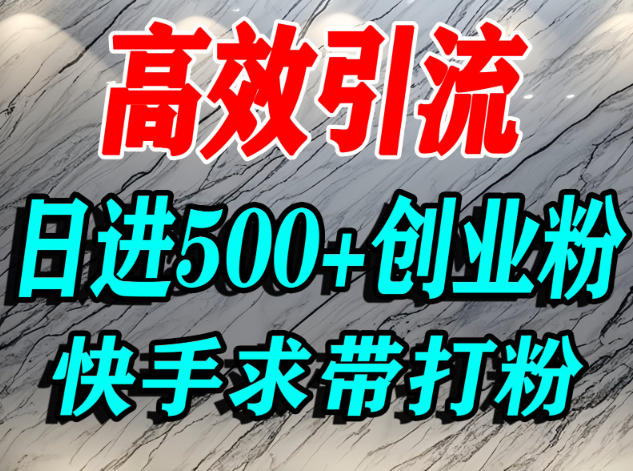 怎么打创业粉？快手求带视角精准引流创业粉，宝妈、学生群体日进500+精准流量-副业网