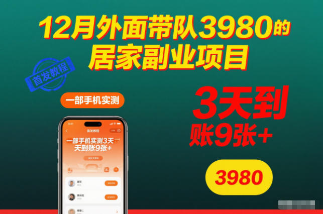 12月外面带队3980的居家副业项目，一部手机实测3天到账9张+，首发教程【揭秘】-副业网