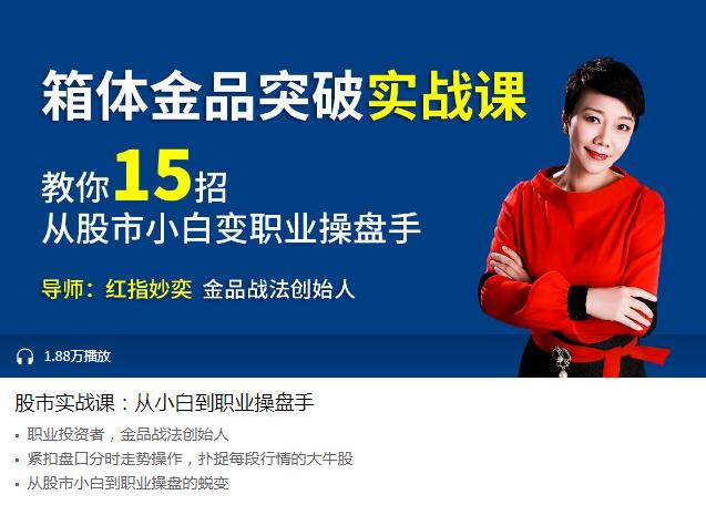 股市实战课：从小白到职业操盘手-副业网