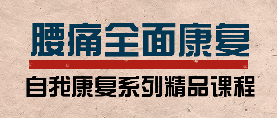 腰痛运动康复：教练与患者必学-副业网