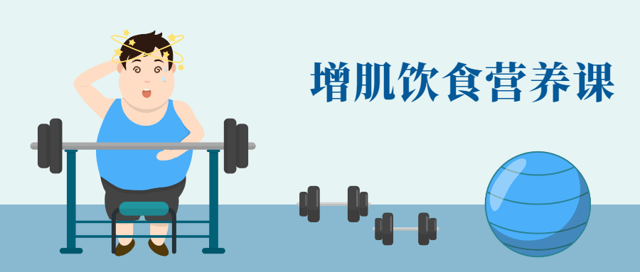 健身增肌饮食营养课-副业网
