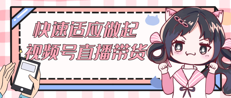快速适应做起视频号直播带货-副业网