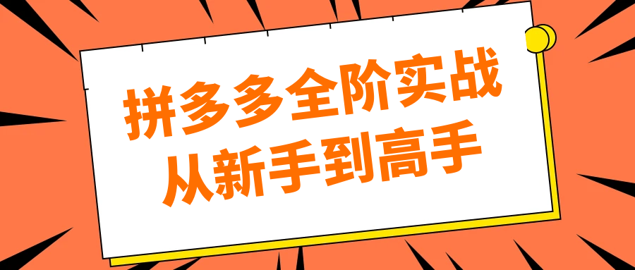 拼多多全阶实战从新手到高手-副业网