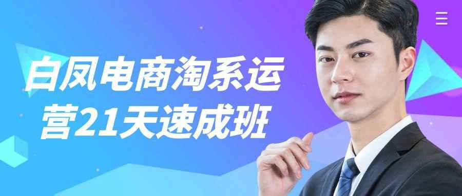 白凤电商淘系运营21天速成班-副业网