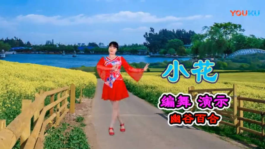 图片[2]-广场舞视频教学500首-副业网