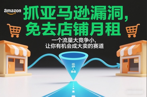 抓亚马逊漏洞，免去店铺月租，一个流量大竞争小，让你有机会成大卖的赛道-副业网