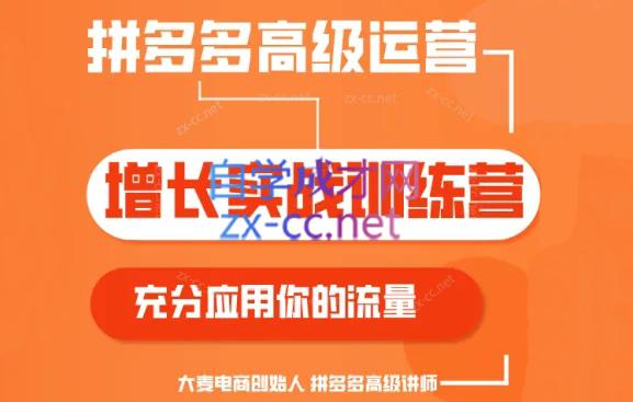 大麦老师·拼多多单品爆款打造课程(更新6月)-副业网