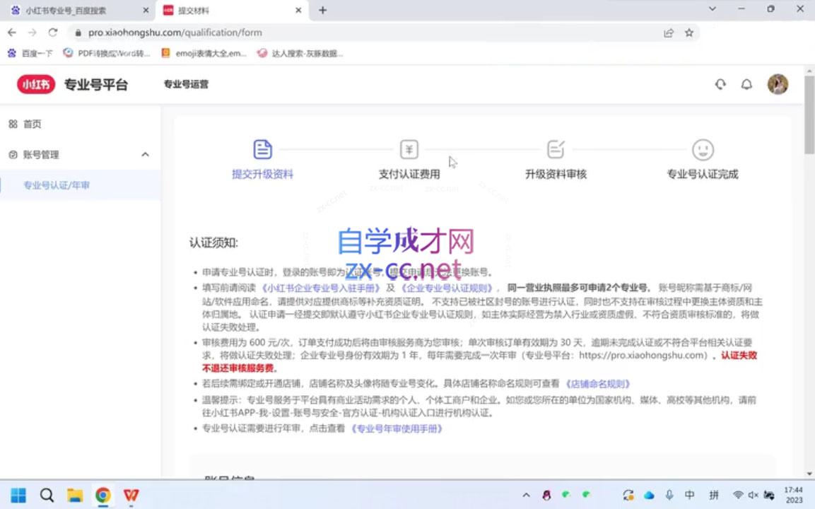 图片[2]-钟小铃·小红书达人陪跑计划第四期-副业网