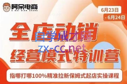 阿呆电商·全店动销经营模式特训营(线下录音+思维导图)-副业网