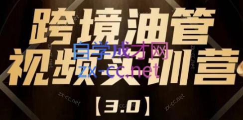 阿蔺Leo·跨境油管视频YouTube实训营(更新2025)-副业网