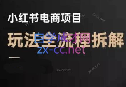 菲菲老师·小红书电商玩法(更新7月)-副业网