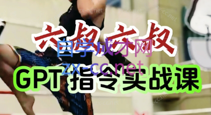 六叔的AI指令实战课(更新7月)-副业网