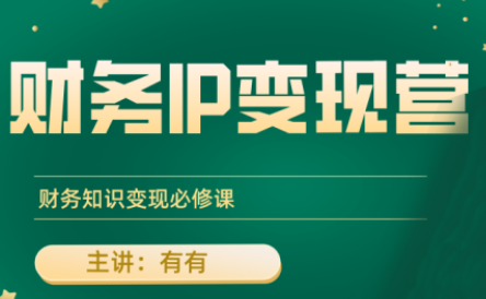 有有老师·财务IP变现营，财务知识变现必修课-副业网