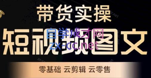 鑫哥·2024零基础短视频带货实操营-副业网