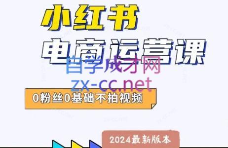 达哥·小红书电商运营(2024版)-副业网