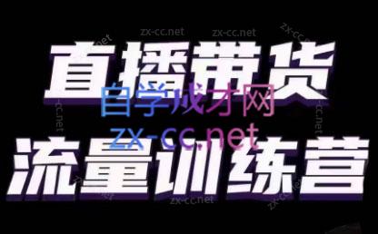 婉婉·直播带货课程系列合集(更新8月)-副业网