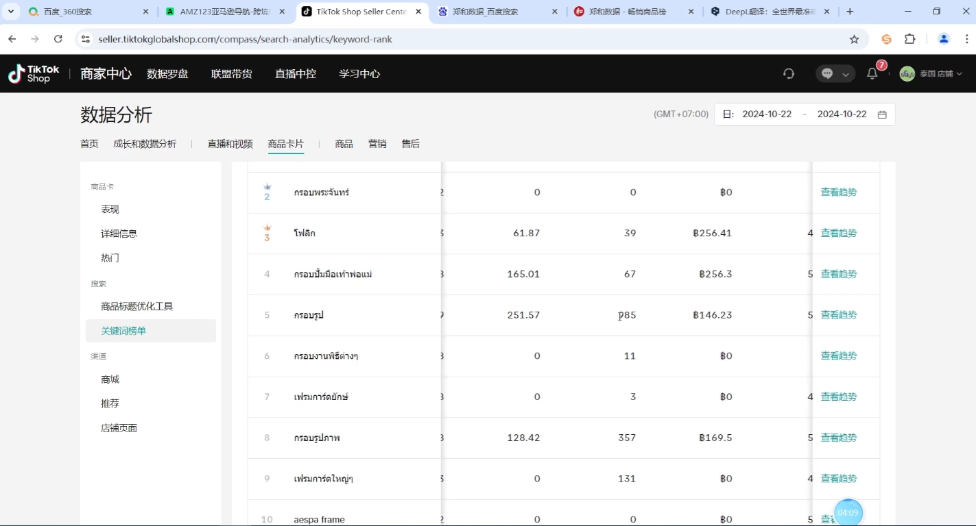 大鱼老师·Tiktok东南亚小店运营-副业网