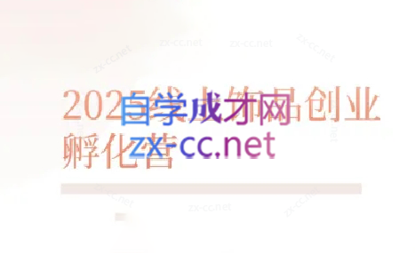 舒老师·珠宝创业实战指南-副业网