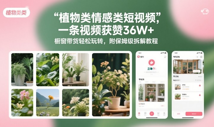 植物类情感类短视频，一条视频获赞36W+，橱窗带货轻松玩转，附保姆级拆解教程-副业网