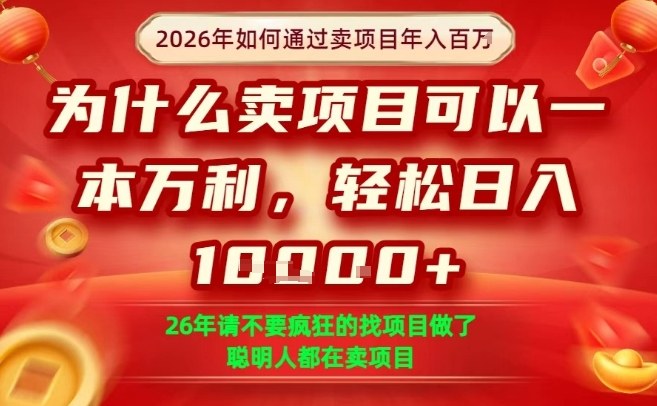 一单净利润1K+，26年想年入100个W，死磕卖项目就够了【揭秘】-副业网
