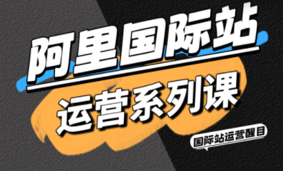醒目老师·阿里国际站运营系列课(更新3月)-副业网