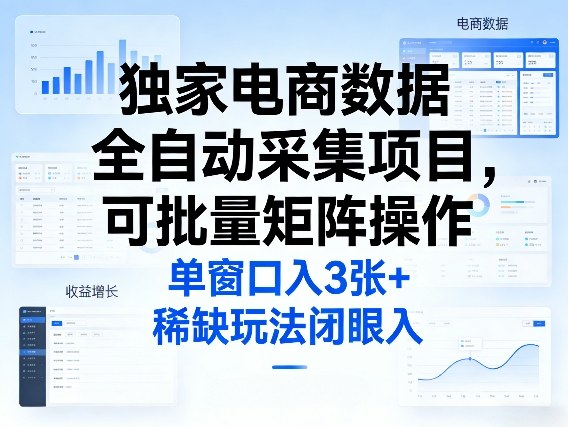 独家电商数据全自动采集项目，可批量矩阵操作，单窗口日入3张+，稀缺玩法闭眼入【揭秘】-副业网