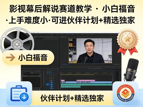 某大佬的影视幕后解说赛道教学，小白福音，上手难度小，可进伙伴计划+精选独家-副业网