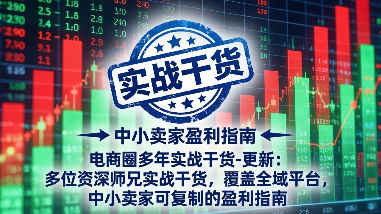 电商圈多年实战干货-更新4月：多位资深师兄实战干货，覆盖全域平台，中小卖家可复制的盈利指南-副业网