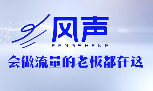 董十一·风声短视频AI获客年度会员-副业网