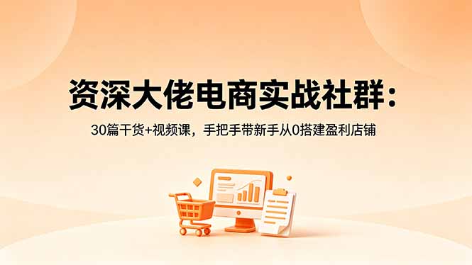 资深大佬电商实战社群：30篇干货+视频课，手把手带新手从0搭建盈利店铺-副业网