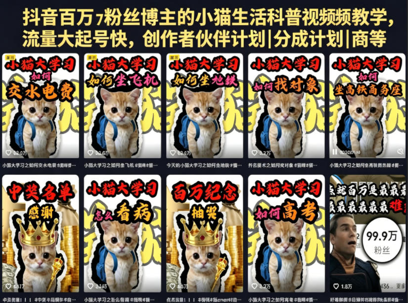 抖音百万粉丝博主的小猫生活科普视频教学，流量大起号快，创作者伙伴计划|分成计划|商单|收徒等-副业网