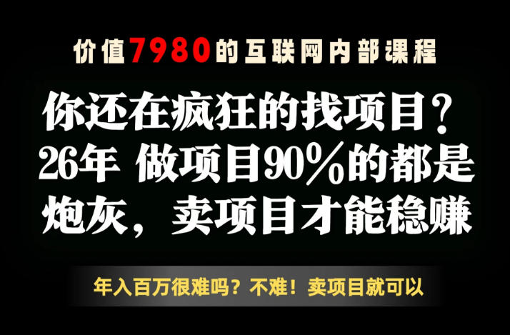 26年请不要疯狂的找项目了,卖项目远比你想象的暴利,你也可以月入10W+【揭秘】-副业网