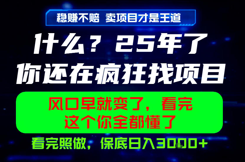 26年，请不要疯狂的找项目做了！卖项目才是真的稳賺不赔，看完照做，保底日入1k+【揭秘】-副业网