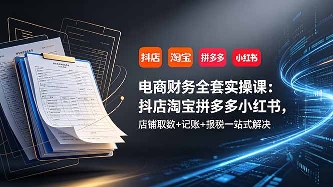 电商财务全套实操课：抖店淘宝拼多多小红书，店铺取数+记账+报税一站式解决-副业网